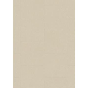 Urban Street Cream 55 Acoustic