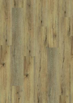 Joy Oak Tender click