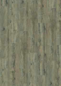 Embrance Oak Grey click