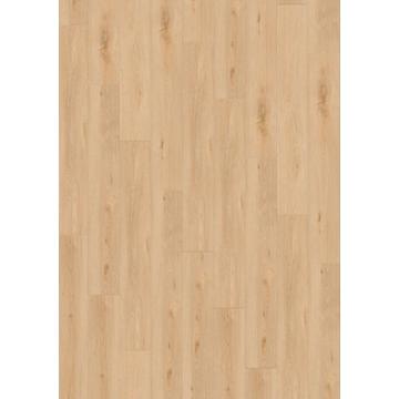 Aquinoah Blond 40 Acoustic