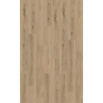 Aquinoah Nature 55 Acoustic