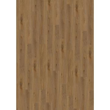 Aquinoah Brown 55 Acoustic