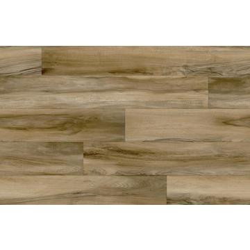 English Walnut 619D