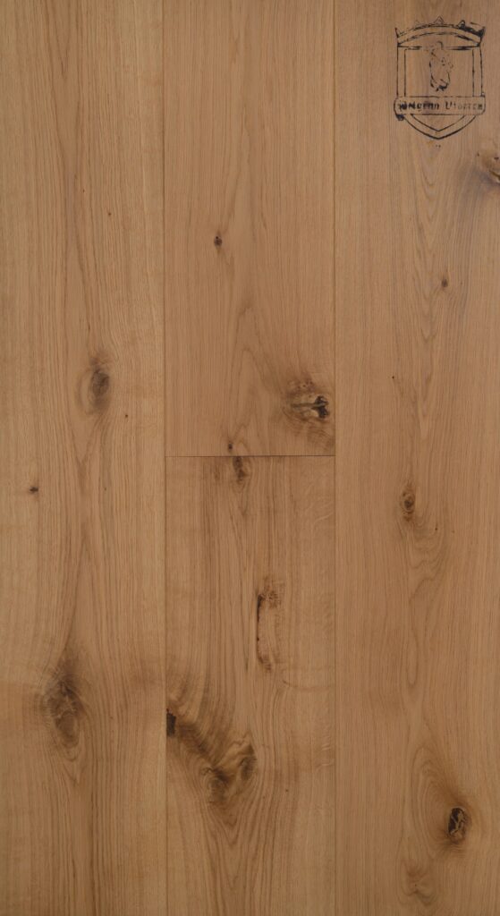 Dub Pelgrim - Obrázek 3