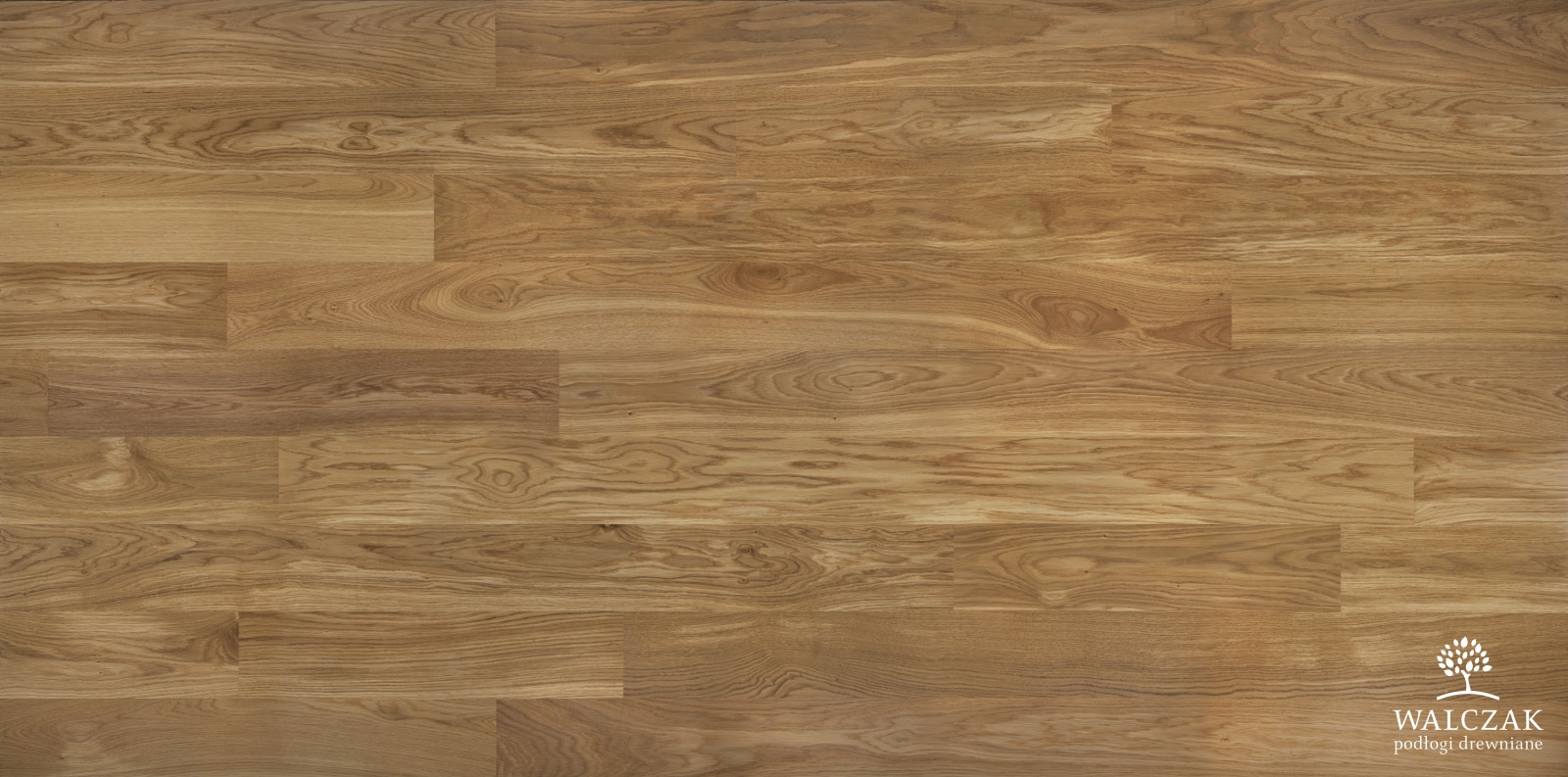 Dub 21mm Country s bělí