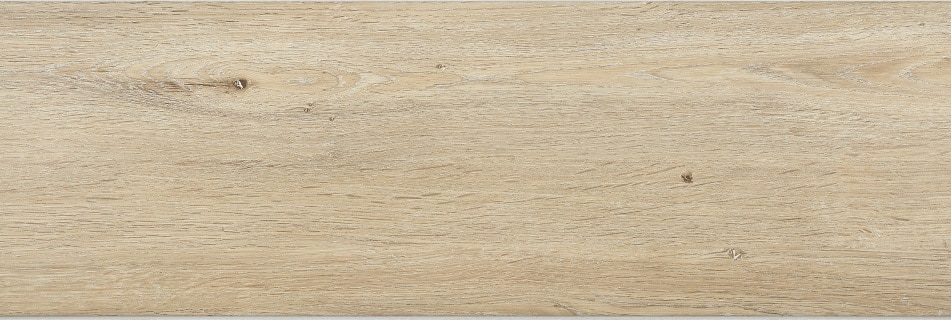 Dub bělený - Obrázek 2