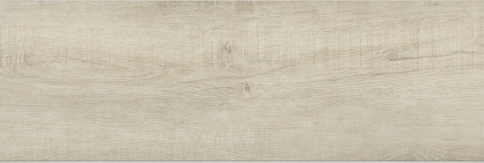 Dub písečný - Image 2