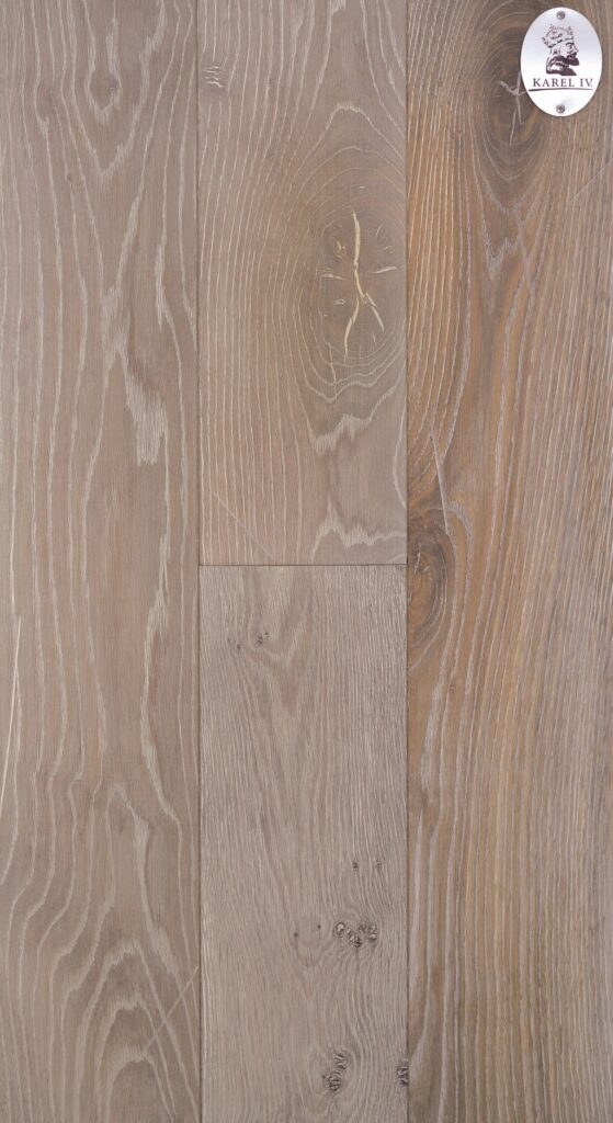 Dub Karel IV. - Obrázek 5