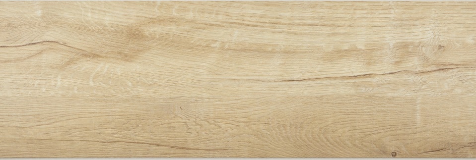 Dub labský - Image 2