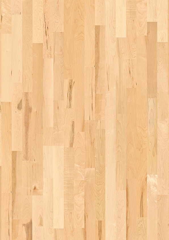 Javor kanadský parketa - Image 2