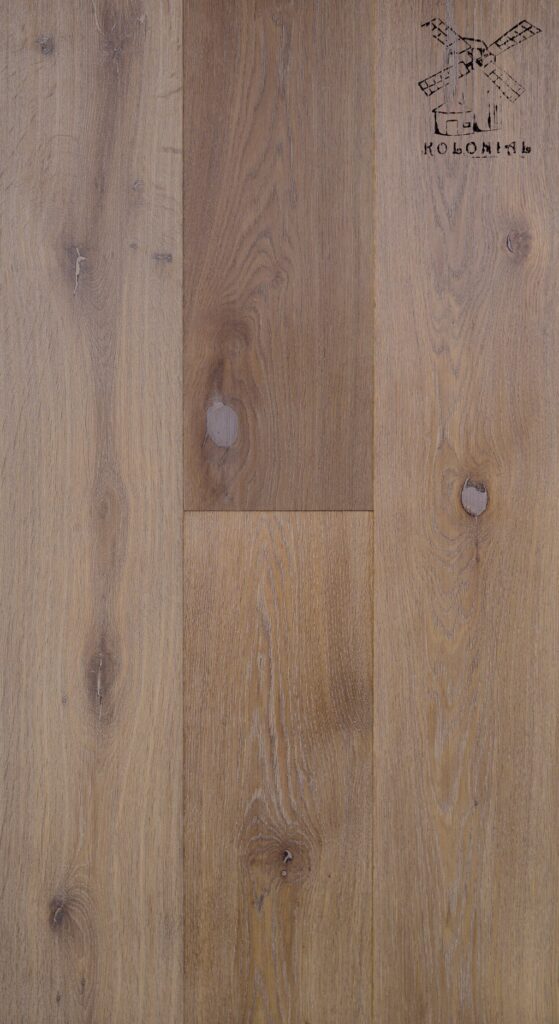 Dub Kolonial - Obrázek 4