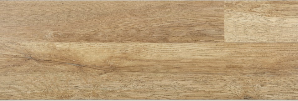 Dub selský - Image 2