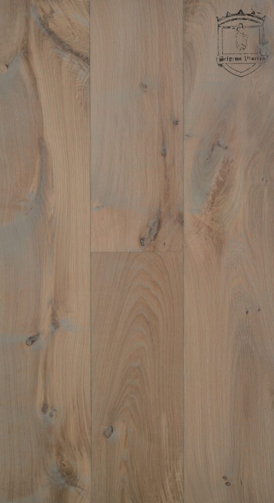 Dub Pelgrim - Obrázek 5