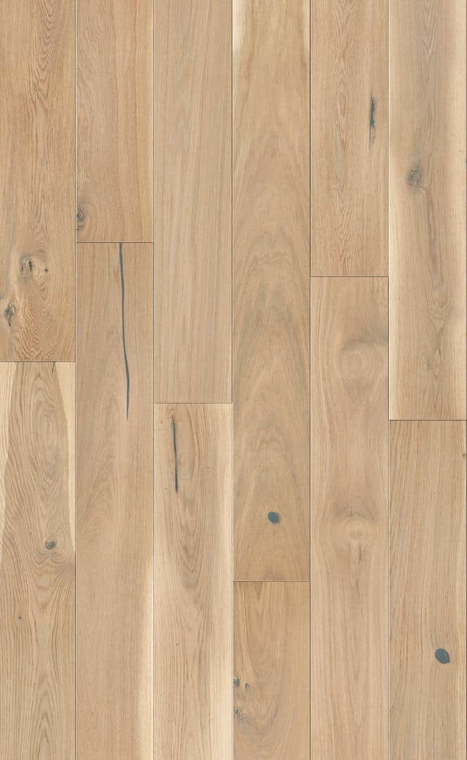 DUB Banana Song prkno