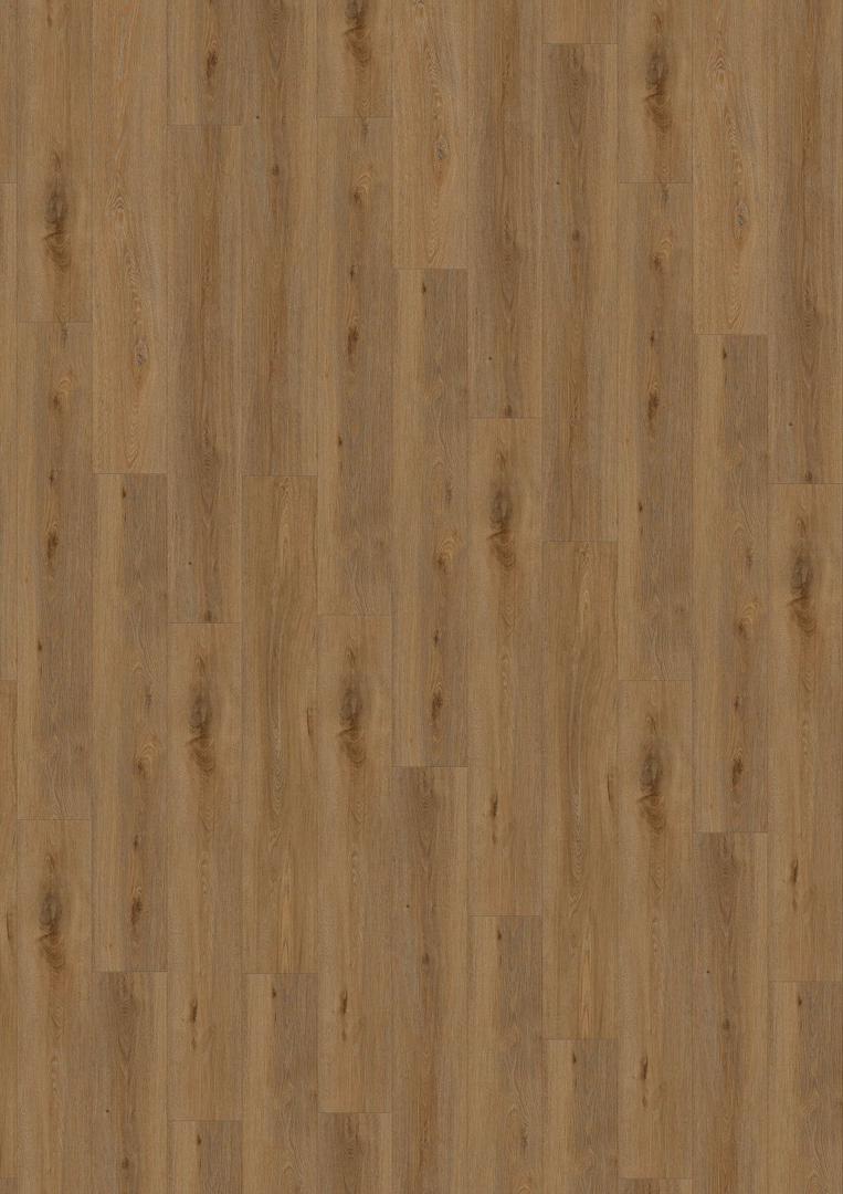 Aquinoah Honey 55 CLIC