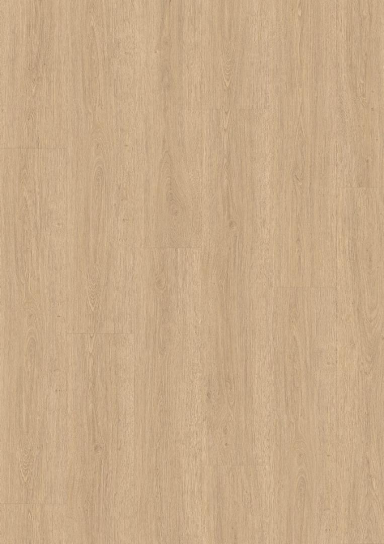 EDF199 Dub Hilway příodní