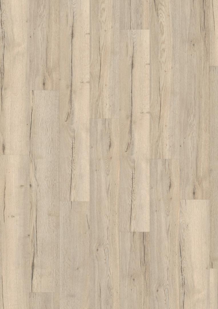 EDF144 Dub Halifax bílý