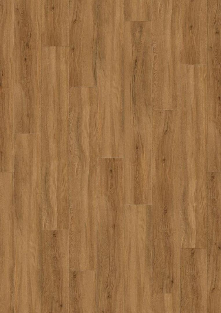 Quartet Natural 55 Acoustic