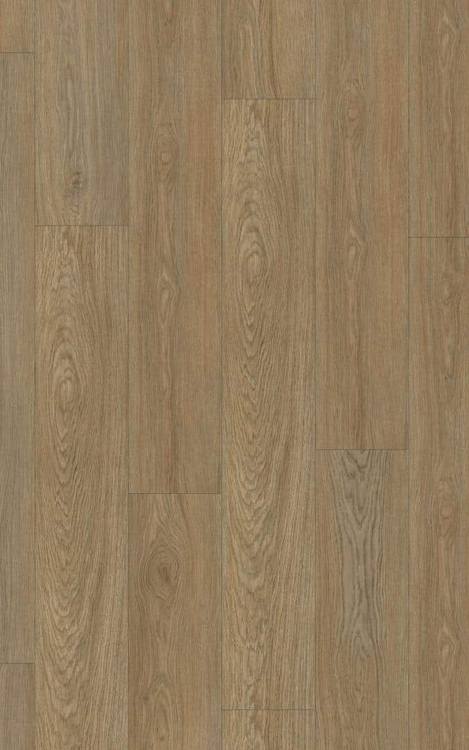 Lounge Oak Chestnut 40 Acoustic