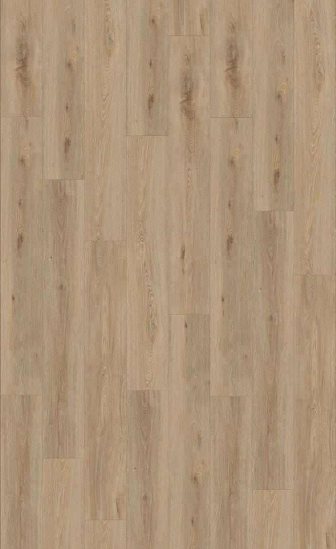 Aquinoah Nature 55 CLIC