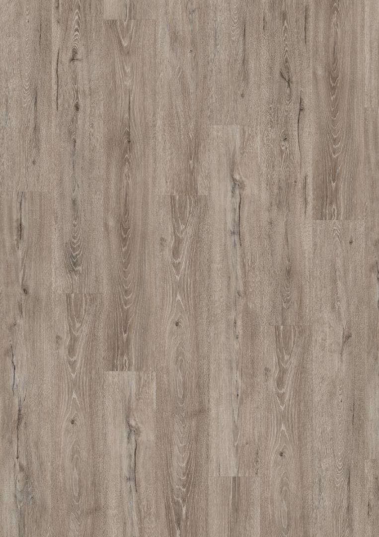 EDF204 Dub Panora šedý