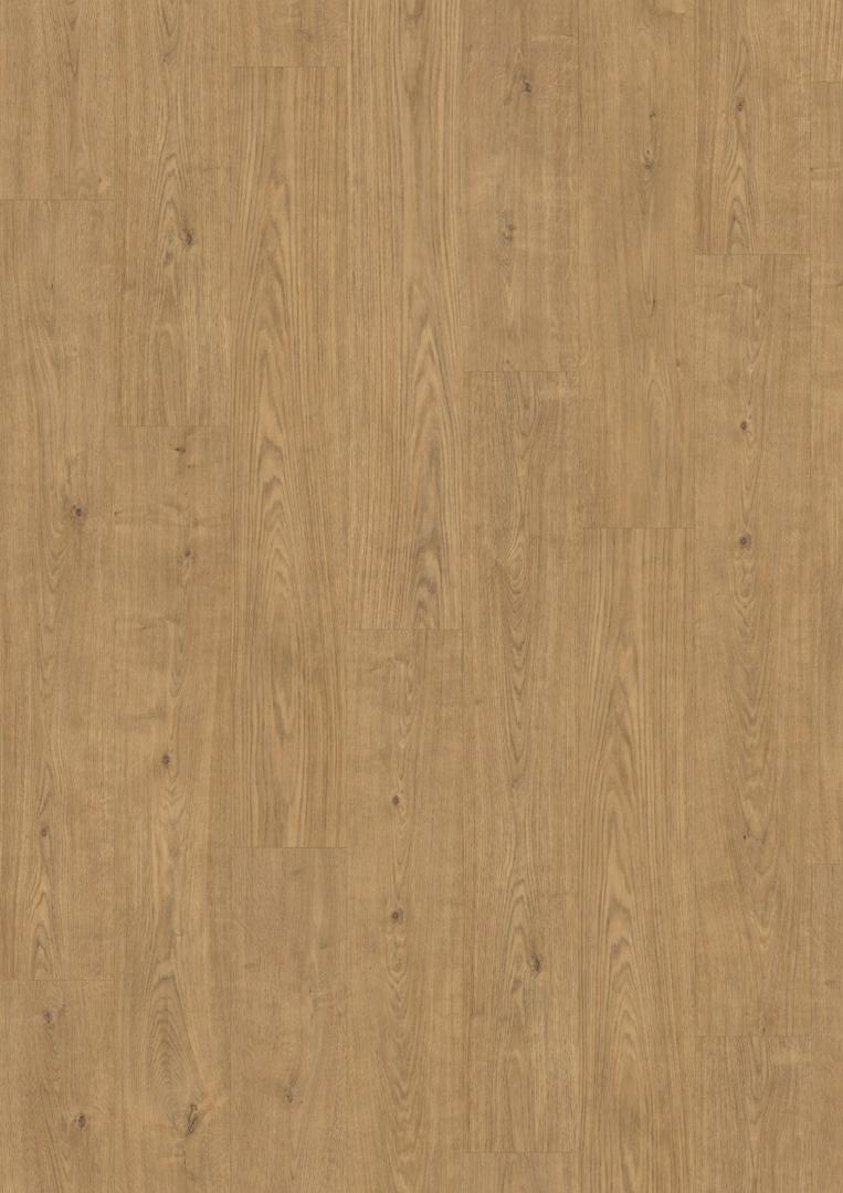 EDF180 Dub Berdal přírodní