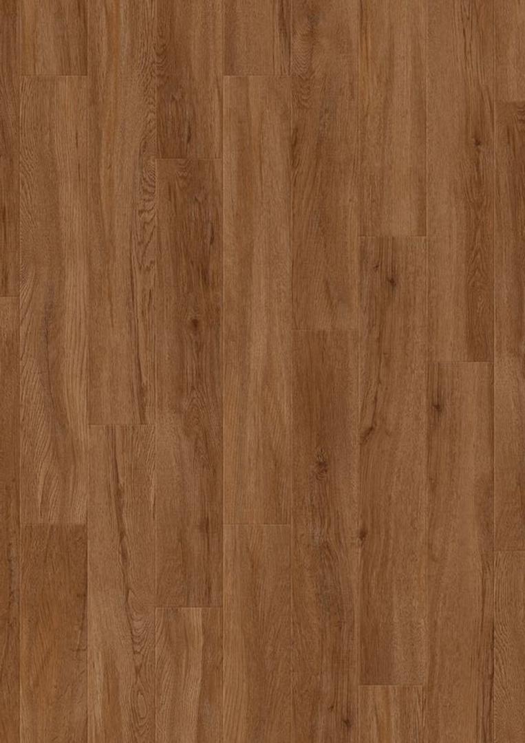 Quartet Dark Brown 55 Acoustic