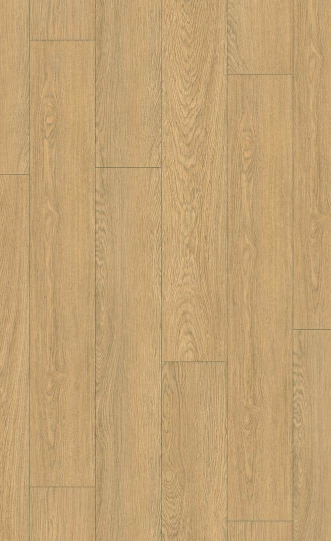 Lounge Oak Natural 40 CLIC