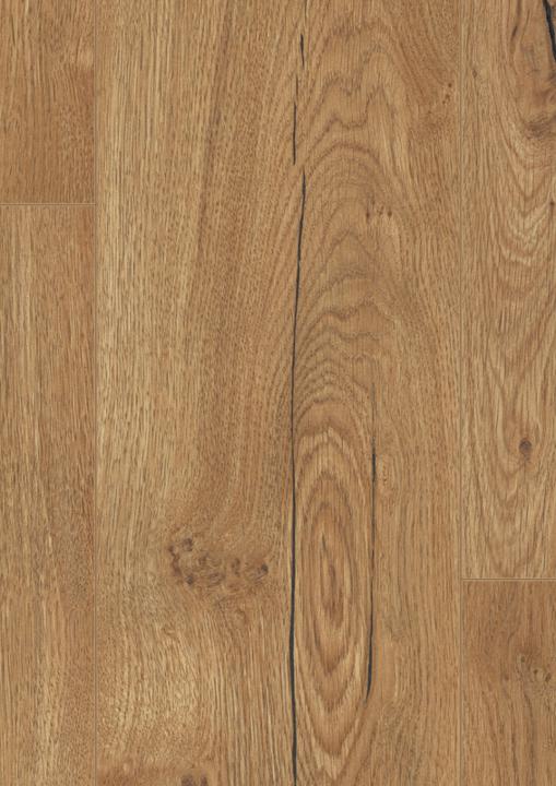 EL2856 Dub Olchon medový - Obrázek 3