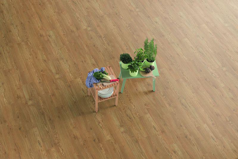 EL2856 Dub Olchon medový - Obrázek 2