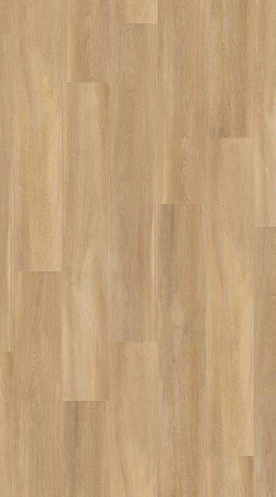 Bostonian Oak Honey 55 Acoustic